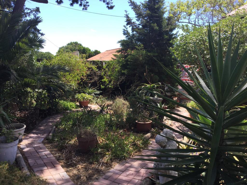 The Buddha Garden Ciudad del Cabo Exterior foto